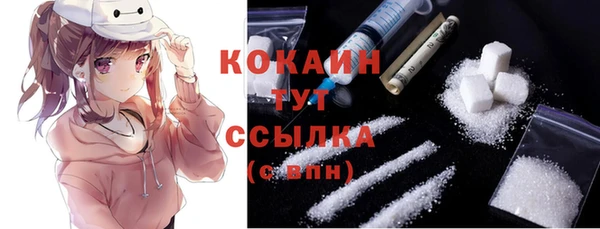 jwh Гусь-Хрустальный
