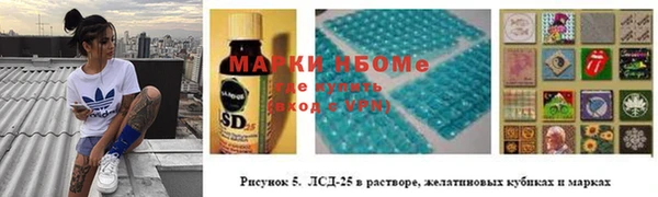 гидра Гусев