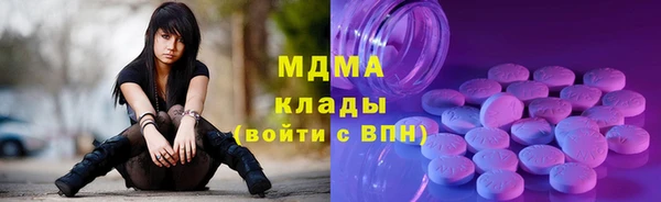 гидра Гусев