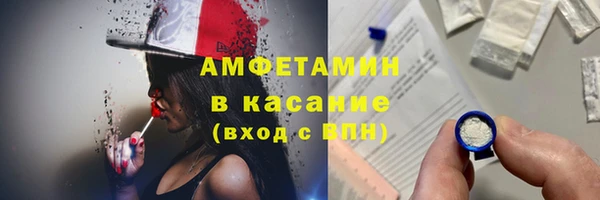 гидра Гусев