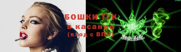 гидра Гусев