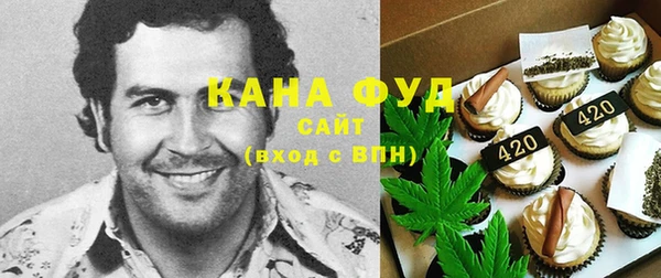 гидра Гусев