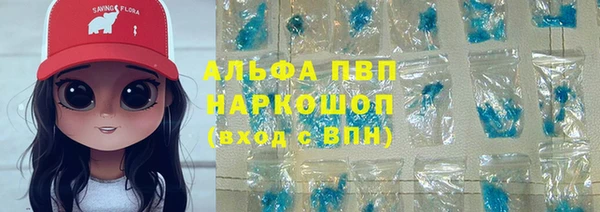 гидра Гусев