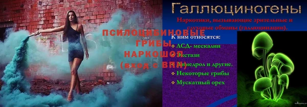 гидра Гусев