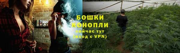 гидра Гусев